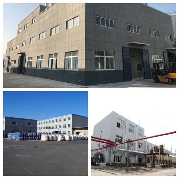 ประเทศจีน Shandong Jiuchong Chemical Co., Ltd. รายละเอียด บริษัท
