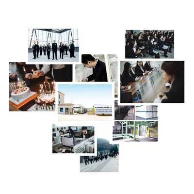 High Purity Magnesium Carbonate MgCO3 Powder For Light Heavy Applications